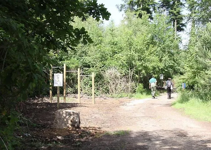 Hébergement de vacances Charmante Maison *
